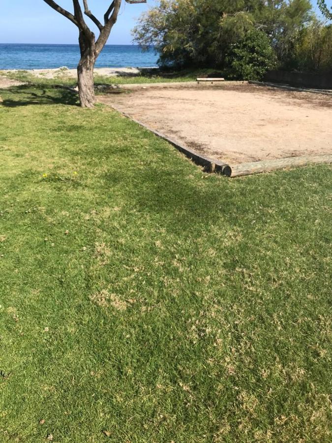 Corsica Studio Face A La Mer Moriani Plage Lägenhet San-Nicolao Exteriör bild