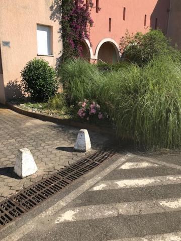 Corsica Studio Face A La Mer Moriani Plage Lägenhet San-Nicolao Exteriör bild